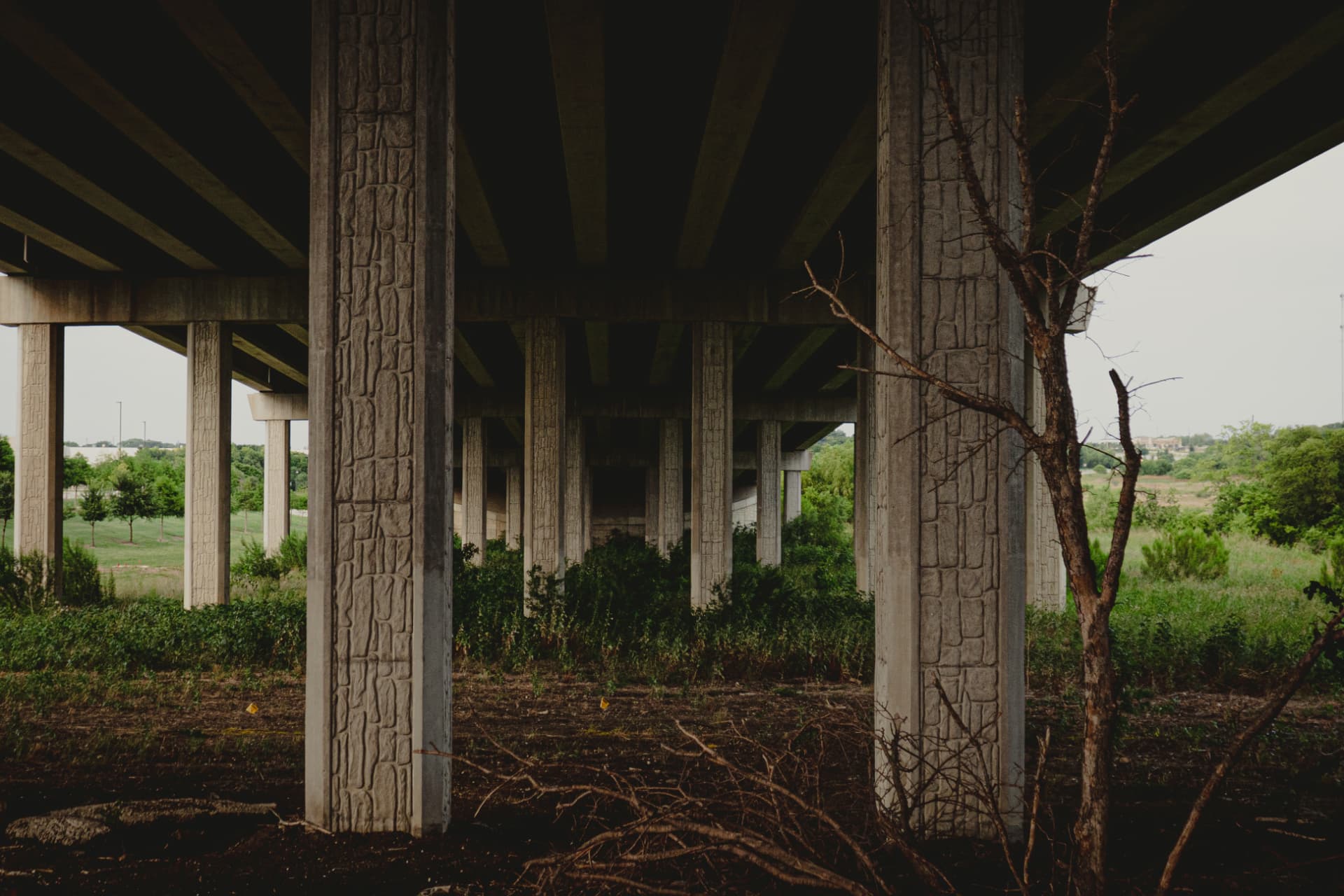 Editorial portrait photography in North DFW — frame 16